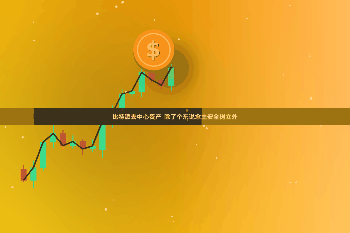 比特派去中心资产  除了个东说念主安全树立外